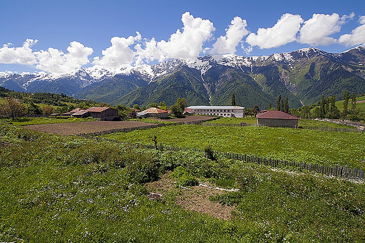 Hanmer Guest House Iskari Экстерьер фото